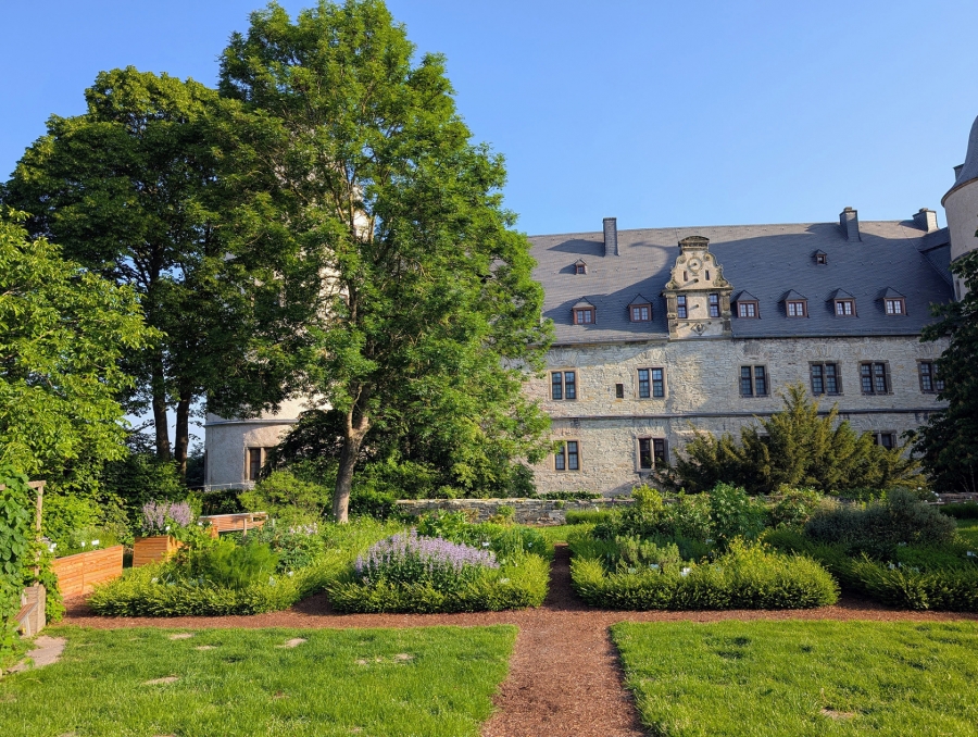 Das Kreismuseum Wewelsburg beteiligt sich am „Tag der Gärten und Parks in Westfalen-Lippe“ am Samstag, 13. Juni, von 11 bis 16 Uhr im Garten der Wewelsburg.  © Kreismuseum Wewelsburg, Gloria Bialas